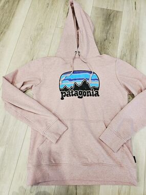 Patagonia Women's Light Pink Logo Pullover Hoodie with Blue Graphic